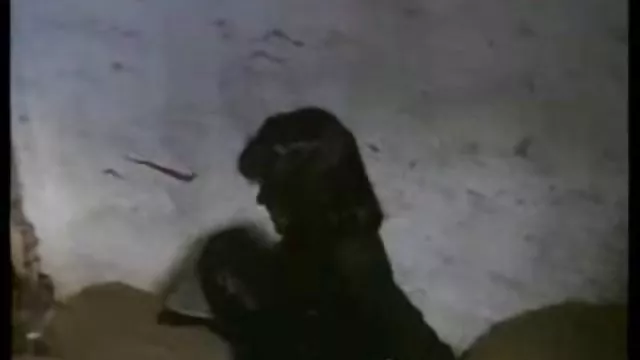 سكس بدون تسجيل بريت الآسيوية تمتص ديك سكس عربي بحت