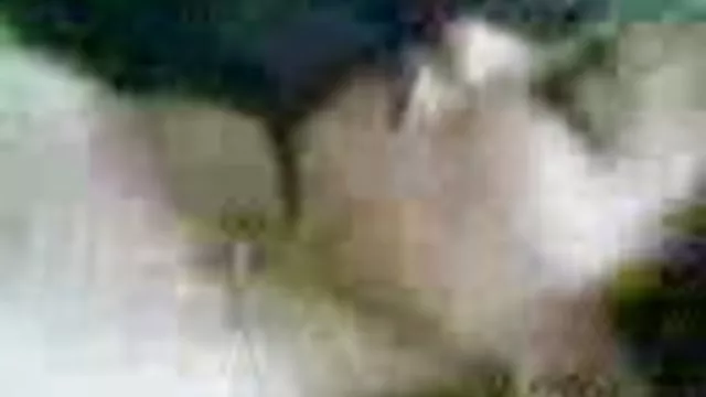 سكس بدون تسجيل كات بي. صور سكس عربي حديث