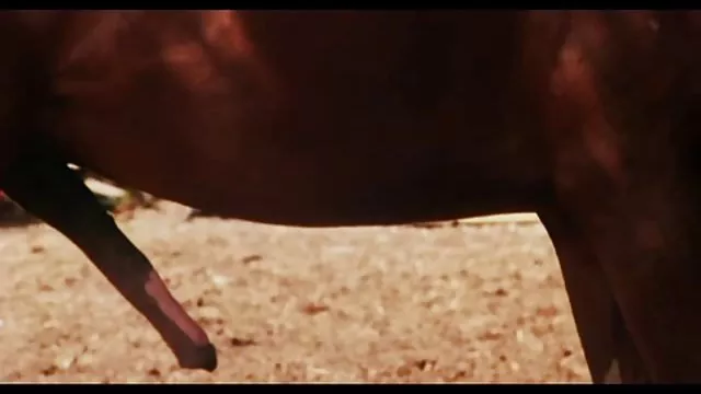 سكس بدون تسجيل ستيلا الصغير نجوم صور سس عربي الربيع