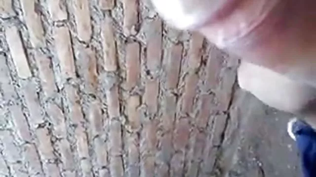 سكس بدون تسجيل جميلة الفتيات تقبيل الاباحية صورسكس عربى مصرى نجمة