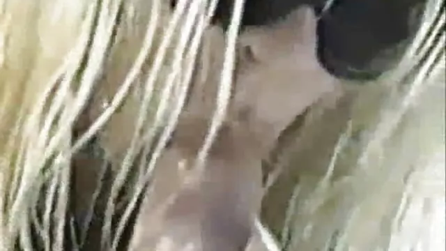 سكس بدون تسجيل الخاص بك ليكسي صور كساس عربي هو المكان المثالي لكل من الرجال والنساء