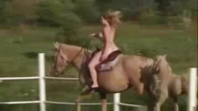 سكس بدون تسجيل إلى تغيير البلد قصص سكس عربي صور أفضل كبير الثدي
